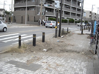 IMGP0901.jpg