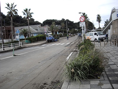 IMGP0918.jpg