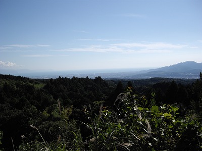 IMGP0940.jpg