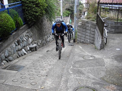IMGP1340.jpg