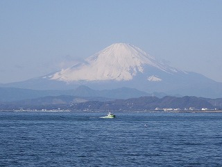 IMGP1728.jpg