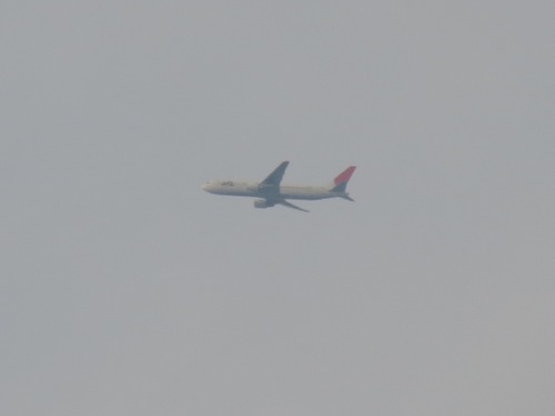 IMG_1513.jpg