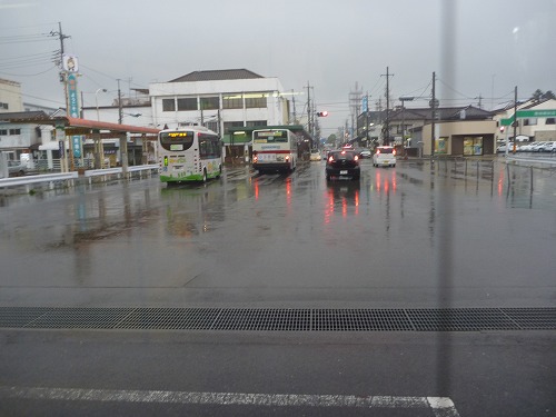 P1000082.jpg
