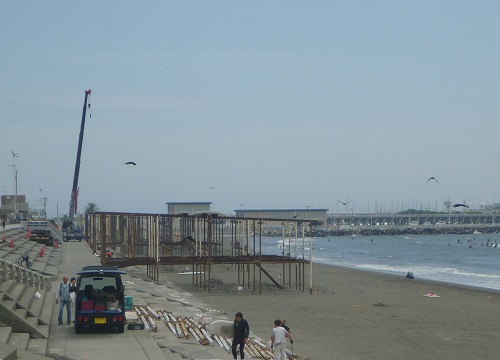 P1000126.jpg