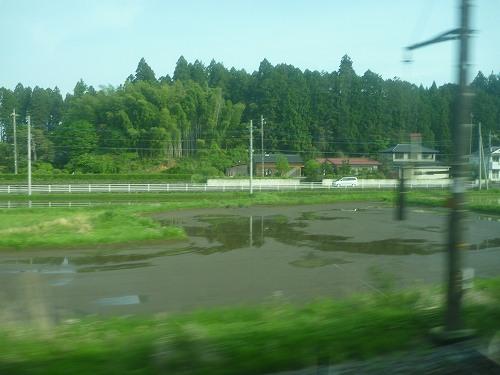 P1000190.jpg