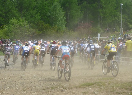 P1000356.jpg
