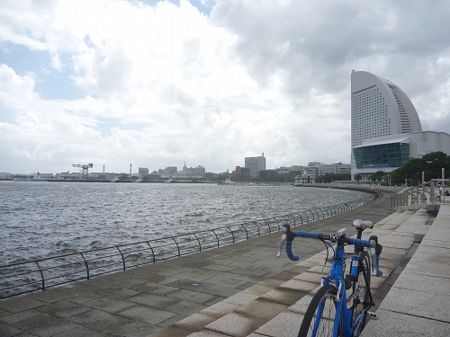 P1010104.jpg