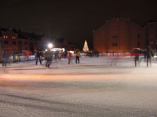 P1010229.jpg