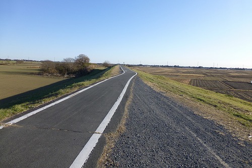 P1020824.jpg