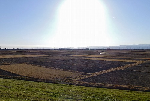 P1020825.jpg