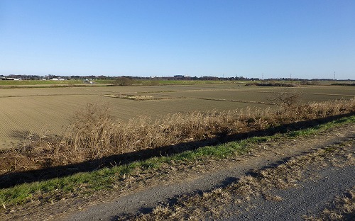 P1020826.jpg