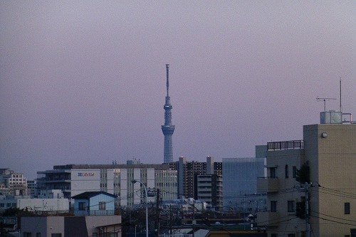 P1020835.jpg