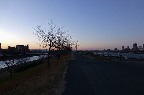 P1020838.jpg