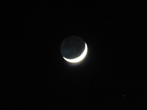 P1020841.jpg