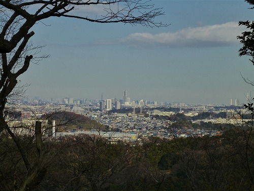 P1020854.jpg
