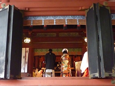 P1030254.jpg