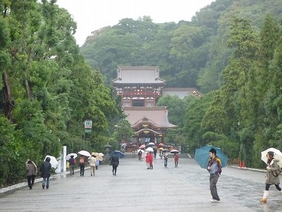 P1030260.jpg