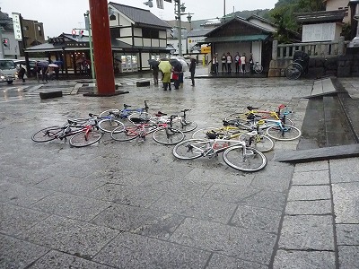 P1030262.jpg