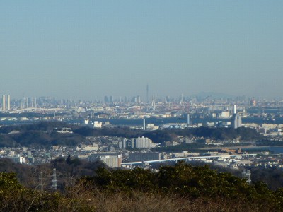 P1040175.jpg