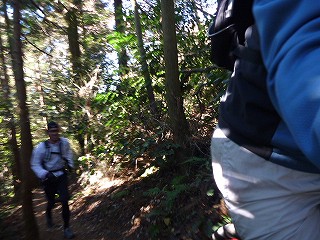P1040177.jpg