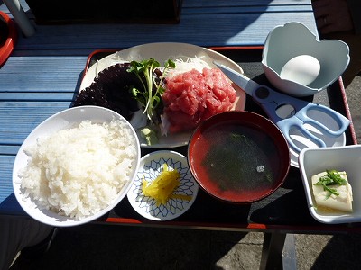 P1040193.jpg