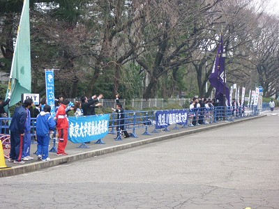 P1040414.jpg