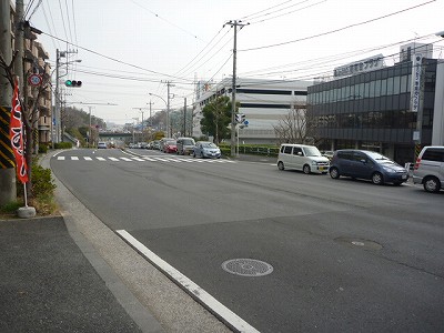 P1040546.jpg