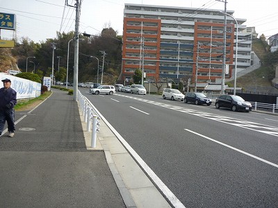 P1040549.jpg