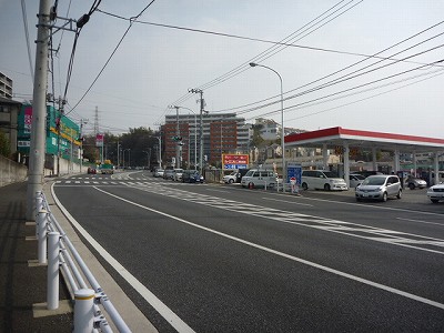 P1040550.jpg