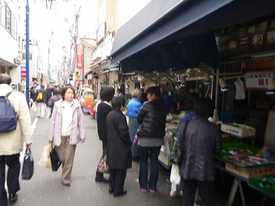 P1040554.jpg