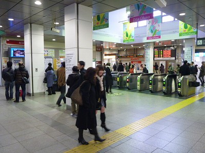 P1040558.jpg