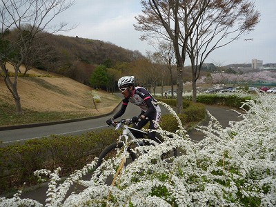 P1040725.jpg