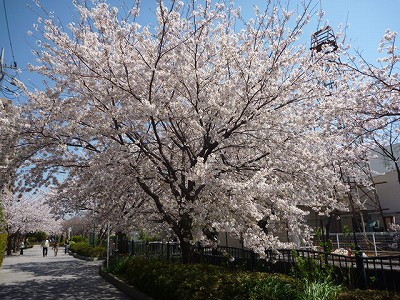 P1040736.jpg