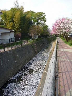 P1040812.jpg