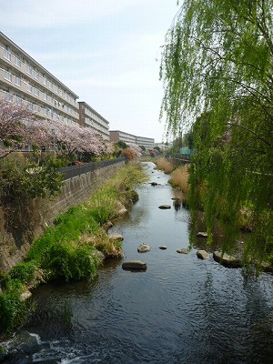 P1040841.jpg