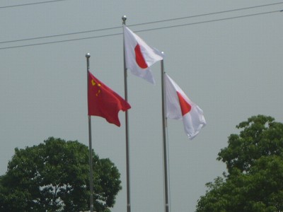 P1050667.jpg