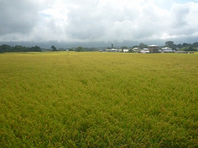 P1060475.jpg