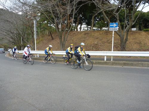 P1070495.jpg