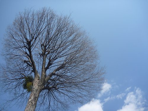 P1080252.jpg