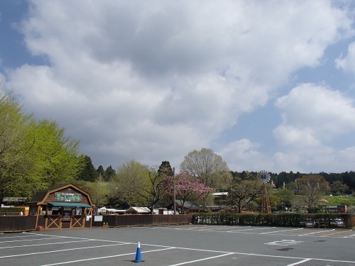 P4260022.jpg