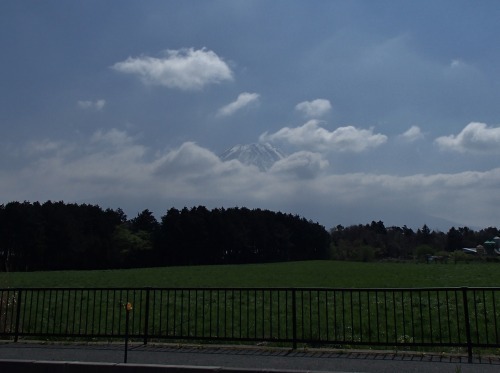P4260034.jpg