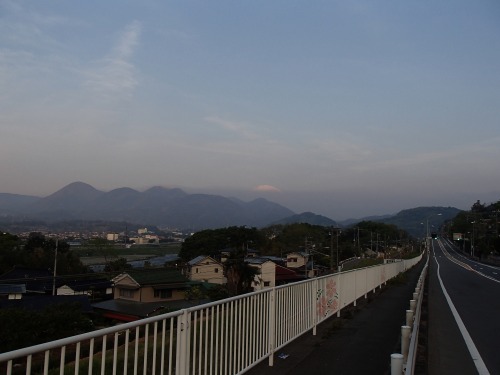 P4270208.jpg