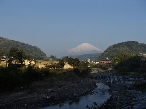 P4270210.jpg
