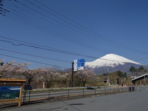 P4270226.jpg