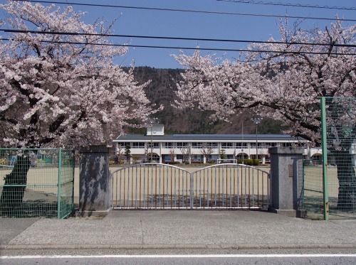 P4270234.jpg