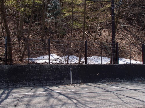 P4270241.jpg
