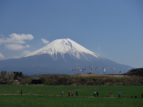 P4270263.jpg
