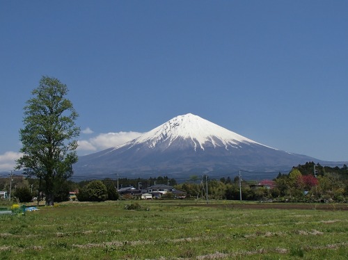 P4270264.jpg