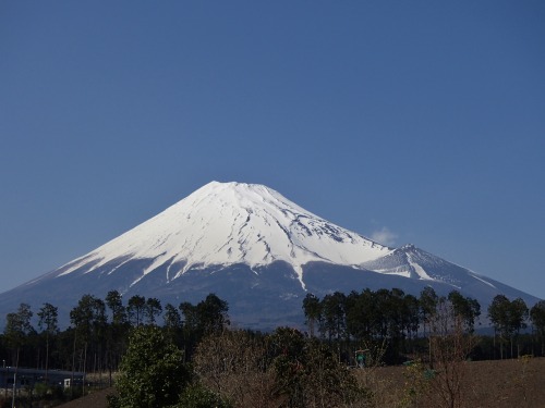 P4270265.jpg