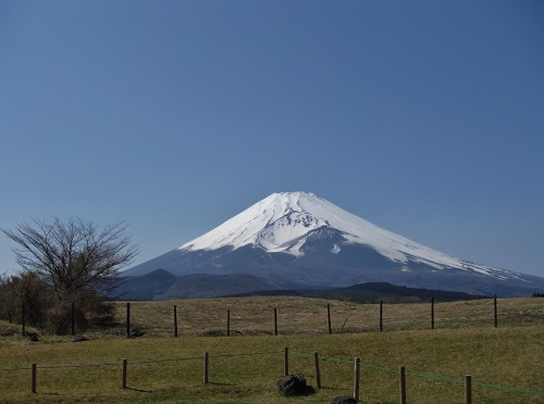 P4270275.jpg